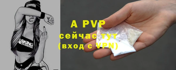 твердый Арсеньев