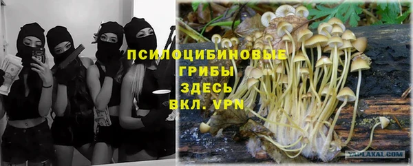твердый Арсеньев