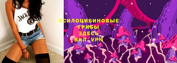 твердый Алексеевка