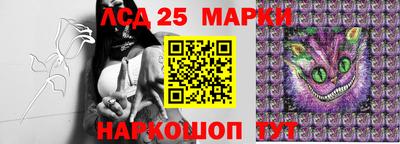 прущие грибы Жуковский