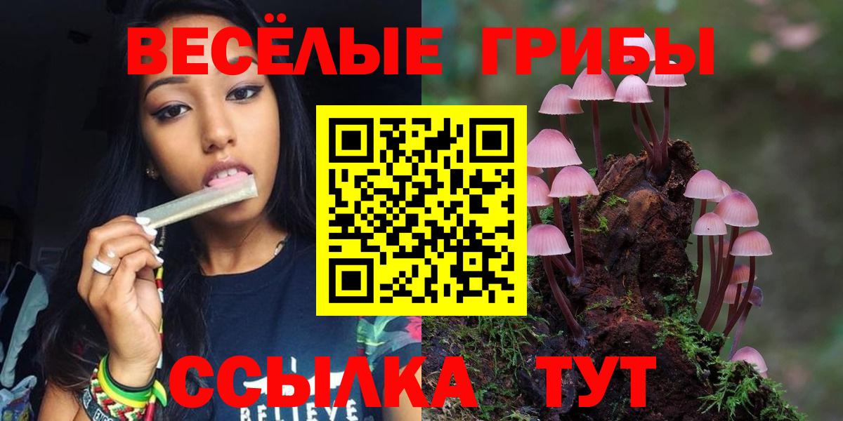 Галлюциногенные грибы Psilocybine cubensis Лобня