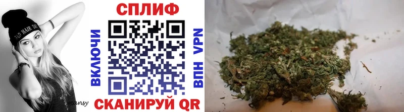 где купить наркоту  Лобня  Шишки марихуана Amnesia 
